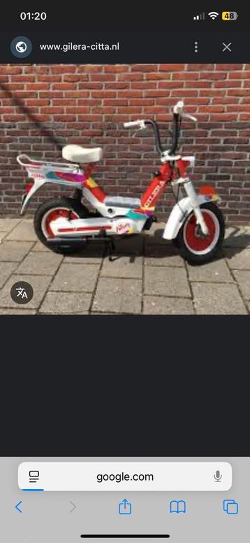 CITTA GEZOCHT!!!! beschikbaar voor biedingen
