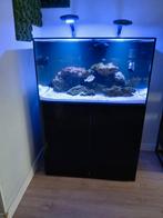 TMC aquarium zout/zoet inclusief sump zwart, Dieren en Toebehoren, Ophalen, Leeg aquarium