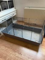 Cavia kooi, Kooi, Gebruikt, 75 tot 110 cm, Cavia