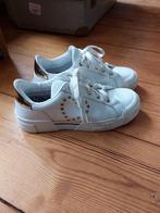 Moschino sneakers, Wit, Sneakers of Gympen, Gedragen, Moschino