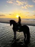 Paardenstal huur gevraagd, Dieren en Toebehoren, Stalling en Weidegang, Weidegang, 1 paard of pony