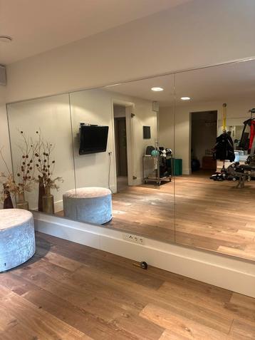 Grote Spiegelwand voor Fitness/Dans beschikbaar voor biedingen