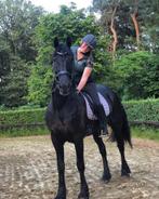 Priveles aangeboden, Diensten en Vakmensen, Paardrijles of Ponykampen