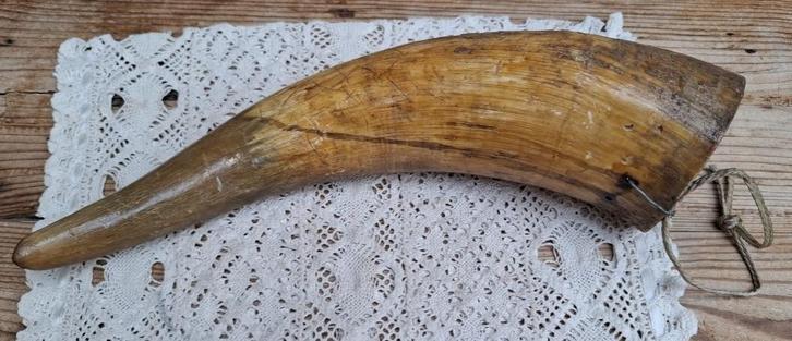 Grote hoorn, Antiek en Kunst, Curiosa en Brocante, Ophalen of Verzenden