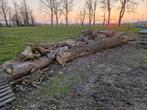 Haardhout stammen, Tuin en Terras, Haardhout, Minder dan 3 m³, Ophalen, Overige houtsoorten