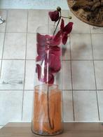 Grote Glazen Vazen compleet met Orchideeën bloemen, Overige kleuren, 50 tot 75 cm, Ophalen of Verzenden, Glas