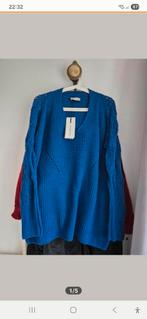 Merk dames trui, Ophalen of Verzenden, Zo goed als nieuw