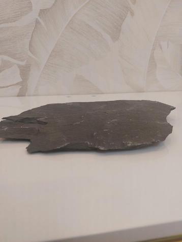 Platte leisteen - Aquarium steen - Maat M - 25cm
 beschikbaar voor biedingen