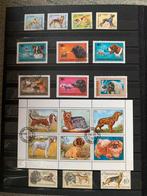 25 postzegels met afbeeldingen van honden, Postzegels en Munten, Postzegels | Thematische zegels, Ophalen of Verzenden, Gestempeld