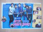 Artikel over One Direction - 1D uit Duits tijdschrift 2x A4, Verzamelen, Ophalen of Verzenden, Nieuw, Boek, Tijdschrift of Artikel