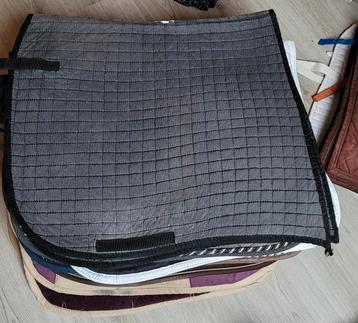 Dressuur dekje  beschikbaar voor biedingen
