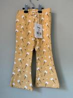 Nieuw Flared Broekje Feetje Maat 80, Broekje, Meisje, Nieuw, Ophalen of Verzenden