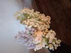 Kunst bloemen, gipskruid, Huis en Inrichting, Woonaccessoires | Kunstplanten en Kunstbloemen, Ophalen of Verzenden, Zo goed als nieuw