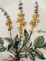 Villeroy & boch onderzetter Botanica, Verzenden, Boch, Bord of Schaal, Villeroy