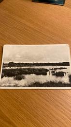 Norg. Molenveen, Ophalen of Verzenden, Gelopen, Drenthe