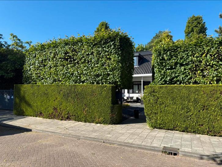 Hovenier-tuinman/onderhoud-aanleg, Diensten en Vakmensen, Tuinmannen en Stratenmakers, Bestrating, Hekwerk of Schuttingen, Tuin- of Vijveraanleg