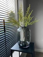 Asparagustak 73cm NIEUW!, Binnen, Info@flowersbymirjam.nl, Nieuw, Transformatorstraat 6a