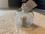 Nieuwe kerstbal engel in kerstbal glas, Diversen, Kerst, Ophalen of Verzenden, Nieuw