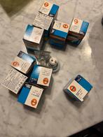 12x Osram Halogeen Decostar Titan 50W GU5.3 Nieuw, 30 tot 60 watt, Halogeen (gloei)lamp, Nieuw, Bipin of Steekvoet