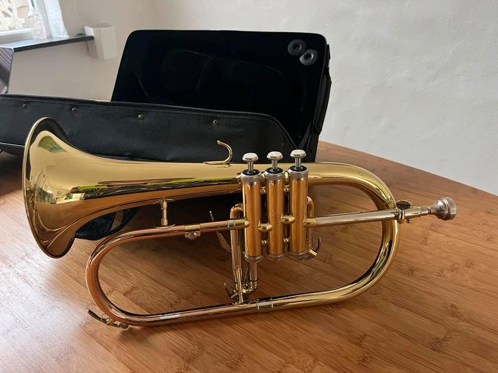 Bugel in uitstekende staat met koffer, Muziek en Instrumenten, Blaasinstrumenten | Trompetten, Zo goed als nieuw, Overige typen