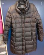 Betty Barclay Donsjas Maat 40, Betty Barclay, Ophalen of Verzenden, Zo goed als nieuw, Maat 38/40 (M)