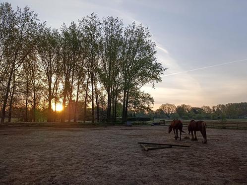 weidegang met stal aangeboden🐴❤️, Dieren en Toebehoren, Stalling en Weidegang, Weidegang, 1 paard of pony
