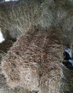 Hooibalen, Dieren en Toebehoren, Ophalen