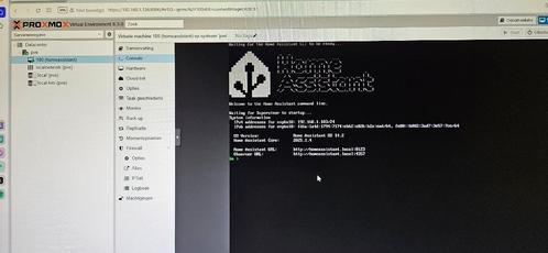 Peladn minipc met Proxmox  en Home Assistant, Computers en Software, Desktop Pc's, Nieuw, SSD, 64 GB of meer, Ophalen of Verzenden