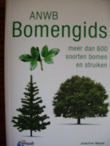 ANWB Bomengids.  Meer dan 600 soorten bomen en struiken beschikbaar voor biedingen
