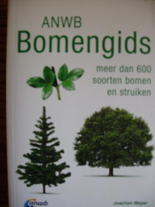 ANWB Bomengids.  Meer dan 600 soorten bomen en struiken, Boeken, Natuur, Zo goed als nieuw, Bloemen, Planten en Bomen, Ophalen of Verzenden