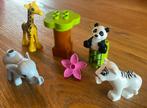 Lego duplo jonge dieren 10904, Ophalen of Verzenden, Zo goed als nieuw, Duplo