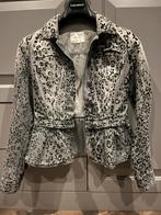 Prachtig denim peplum Pierre Balmain jasje S/36, Ophalen of Verzenden, Zo goed als nieuw, Maat 36 (S), Blauw