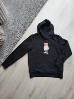 Hoodie, Kinderen en Baby's, Kinderkleding | Maat 152, Ophalen of Verzenden, Zo goed als nieuw, Jongen of Meisje, Trui of Vest