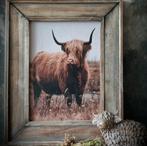 Schotse Hooglander in houten lijst., Ophalen of Verzenden, Nieuw