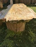 Tuintafel van versteend hout, Ophalen, Gebruikt, Rechthoekig, Hout