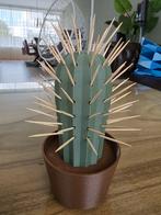 Cactus tandenstokerhouder, Huis en Inrichting, Woonaccessoires | Overige, Ophalen of Verzenden, Zo goed als nieuw