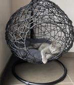 Kattenschommel, Dieren en Toebehoren, Ophalen, Zo goed als nieuw