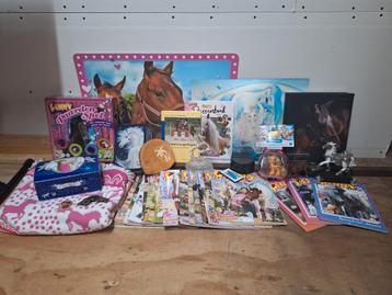 Mega grote paardenverzameling / partij paardenspullen  beschikbaar voor biedingen