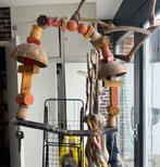 Papegaaien schommel, Papegaai