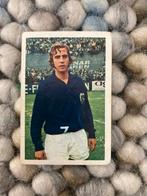 Johan neeskens ajax panini  vanderhout 1971-1972, Ophalen of Verzenden, Zo goed als nieuw, Ajax, Poster, Plaatje of Sticker