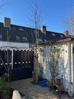 Gewone Lijsterbes, Tuin en Terras, Lente, 250 tot 400 cm, Zuilboom, Ophalen