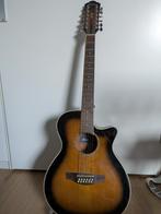 Ibanez gitaar 12 snarig, Ophalen, Gebruikt, Western- of Steelstringgitaar