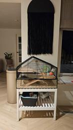 Beeztees Moderne knaagdierkooi (nolan), Kooi, Gebruikt, Minder dan 75 cm, Hamster