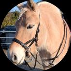 Bitloos hoofdstel sidepull zwart (maat cob > full), Ophalen of Verzenden, Zo goed als nieuw