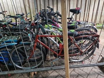 Ongerepareerde meisjesfietsen, jongens, dames en heren beschikbaar voor biedingen