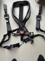 Veiligheidsgordel voor grote hond, Ophalen, Zo goed als nieuw