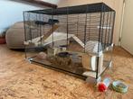 Groot hok voor knaagdier (hamster, rat, muis), Dieren en Toebehoren, Gebruikt, Muis, Hok, 75 tot 110 cm