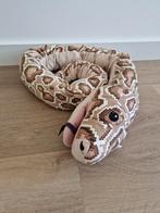 Knuffel Ikea slang python handpop Djungelskog K8939, Ophalen of Verzenden, Zo goed als nieuw