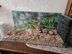 glazen terrarium, van boven open. 71x31x31 cm, Dieren en Toebehoren, Ophalen, Gebruikt, Terrarium of Paludarium