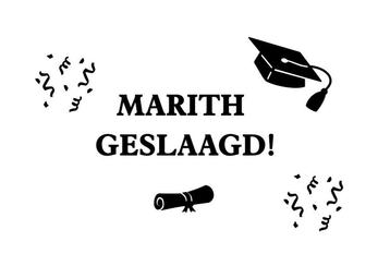 GESLAAGD STICKERS RAAMSTICKERS DIPLOMA EXAMEN beschikbaar voor biedingen